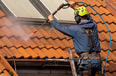 Démoussage et hydrofuge de toiture à Coublevie